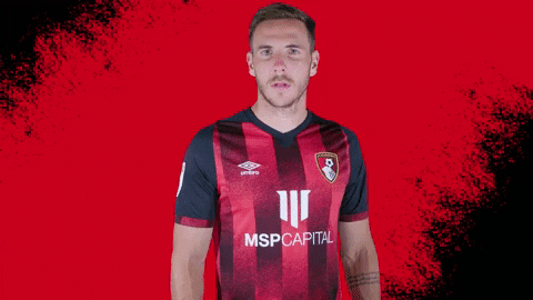 Football No GIF by AFC Bournemouth
