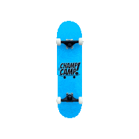 Skate Spinning Sticker by Champ Camp