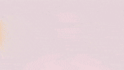 Football Sport GIF by FC Red Bull Salzburg