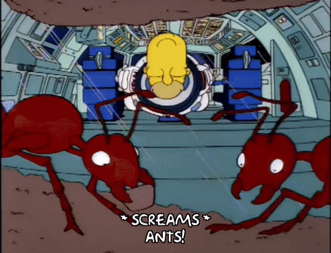homer simpson GIF