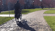 ramblignrubbisher  GIF
