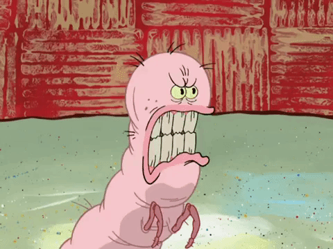 season 6 pet or pets GIF by SpongeBob SquarePants