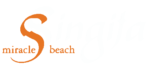 SingitaMiracleBeach giphyupload beach spiaggia singita Sticker