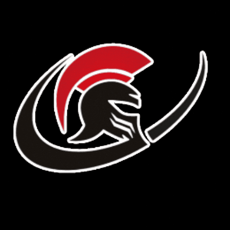 arenavd giphygifmaker arenavd arena-vd GIF