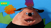 dog talking GIF by KiKA