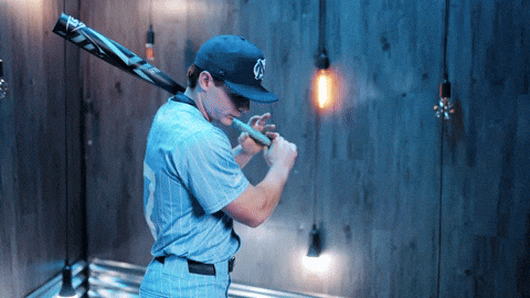 University Of North Carolina Baseball GIF by UNC Tar Heels
