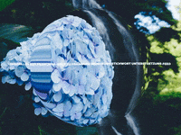 Happy Laugh GIF by FranchiseONE.de