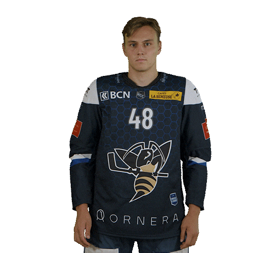 hcclachauxdefonds giphyupload hockey david hcc Sticker