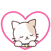 Cat Sleep Sticker