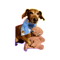 Phone Home Et Sticker by Geekster Pets