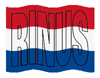 Flag Indycar Sticker