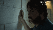Black Bird Creepy Stare GIF by Apple TV+