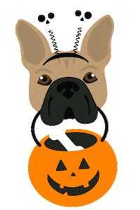 French Bulldog Halloween Sticker by Swig Life
