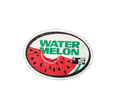 Watermelon Challenge Sticker by everfit.io