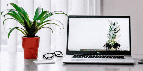 GIF by Crowdfire