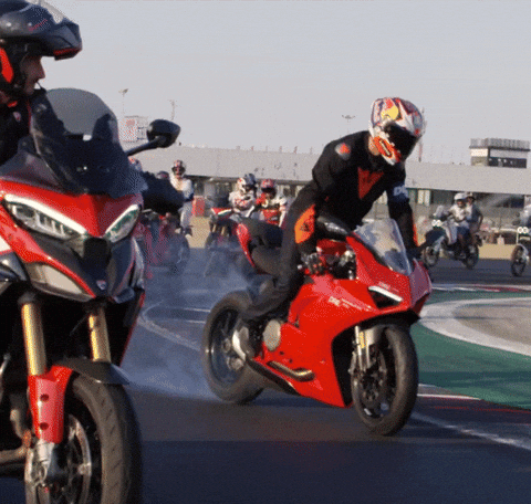 DucatiMotor giphyupload bike race moto GIF