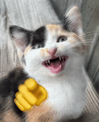 Calico Cat GIF