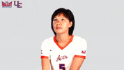 The Valley Mvc GIF by Missouri Valley Conference