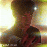 Will Stranger Things GIF