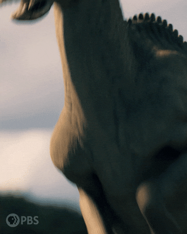Square Up Walking With Dinosaurs GIF by PBS