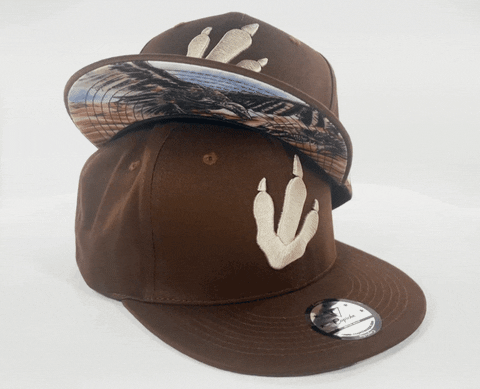 Capichecaps giphyupload brown historic pre GIF