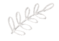 Blanco Ami Sticker by Amiletters