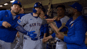 Celebrate Home Run GIF by New York Mets