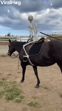GIF by ViralHog