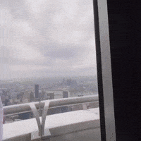 New York City Flower GIF by Empire State Building
