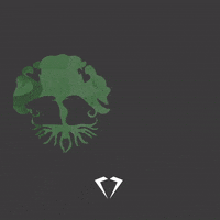 Joiascondor joias gaia condor jewelery GIF