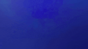 Findout Learn GIF by Jeopardy!