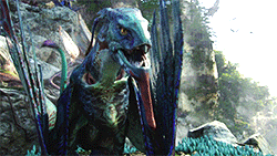 avatar GIF