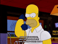 homer simpson GIF