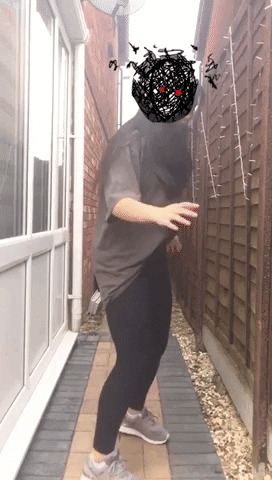 charismaliu00 giphyupload GIF