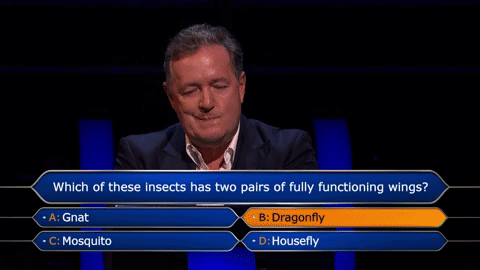 Piers Morgan Itv GIF by Stellify Media - Find & Share on GIPHY