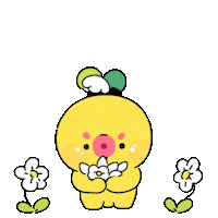 Danji Sticker
