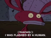 Aaahh Real Monsters Nicksplat GIF by NickRewind