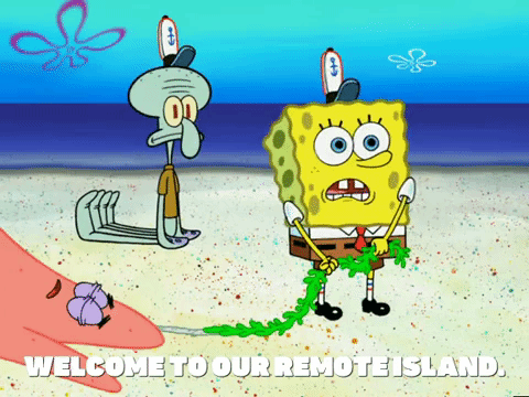 season 6 GIF by SpongeBob SquarePants