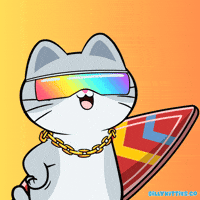 Spring Break Summer GIF by Silly Kitties