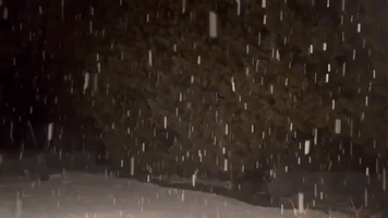 Snow Accumulates in Upstate NY as Nor'easter Approaches