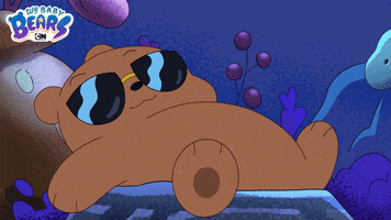 Ice Bear Bears GIF by Cartoon Network
