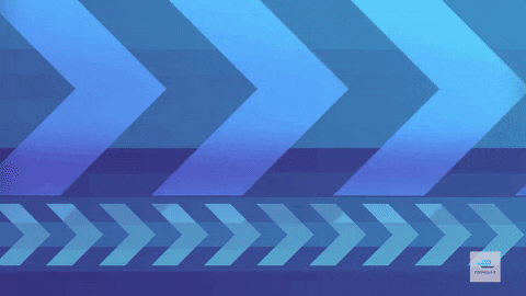 new zealand kiwi GIF by ABB Formula E