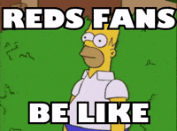 Cincinnati Reds Baseball GIF by Respective