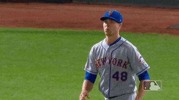 Ny Mets Reaction GIF by New York Mets