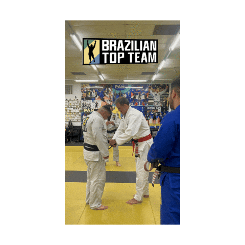 Black Belt Jiu Jitsu Sticker by Brazilian Top Team