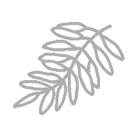 Plant Sticker by odsanyu