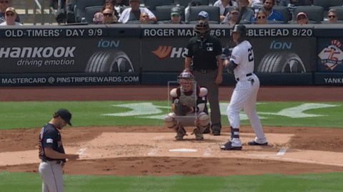 tesstass giphyupload GIF