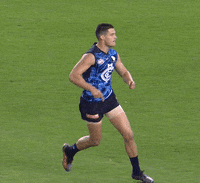 carltonfc celebration pumped afl blues GIF