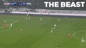 the beast paokfamily GIF by PAOK FC