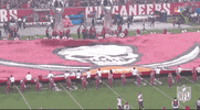 Tampa Bay Buccaneers Football GIF by NFL